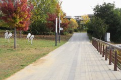 滨城游拍——旅顺龙河之秋