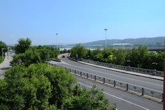 同心公园之夏（2）