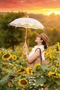 向日葵花海中