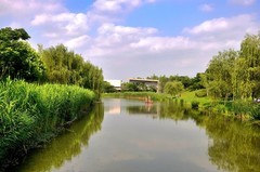 夏季的中江公园