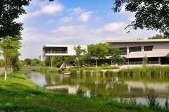 夏季的中江公园
