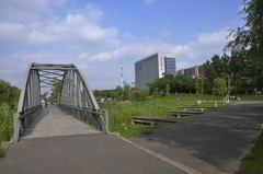 夏季的中江公园