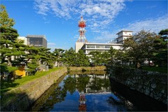 2026年第0642贴 -和歌山城旅拍（1030）