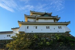 2026年第0642贴 -和歌山城旅拍（1030）