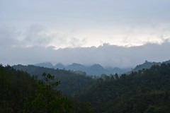 山野迷茫