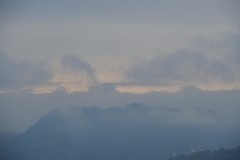 山野迷茫