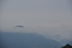山野迷茫
