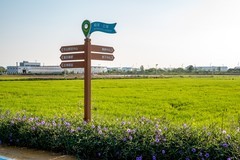 水稻公园随拍-3
