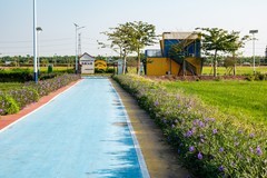 水稻公园随拍-3