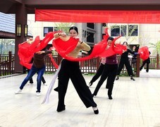 875【不老松：二游海南记实】长島兰湾业主们在跳舞蹈！