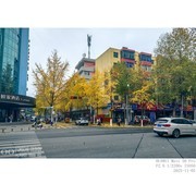 洒金的季节（手机）