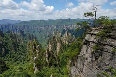 2026年第0050贴-张家界风光纪实旅拍（0118）