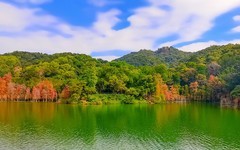 [26020] 黄婆洞水库