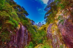 山清山风景15