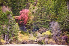 外出随拍（791）.