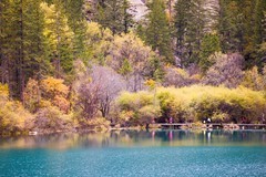 外出随拍（791）.