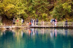 外出随拍（791）.