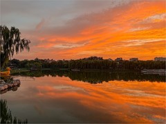 2026年- 颐和园风光纪实-0492