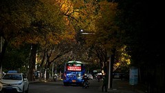 公园遛弯儿，随见随拍