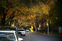 公园遛弯儿，随见随拍