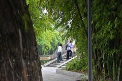 秋日漫步，秋水悠悠