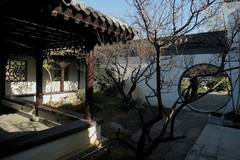 武汉梅花园（三）