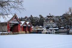 2026年第0052贴-颐和园风光纪实旅拍（0119）