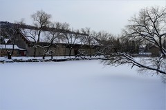 2026年第0052贴-颐和园风光纪实旅拍（0119）