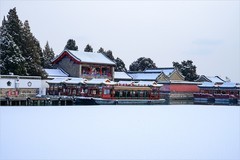 2026年第0052贴-颐和园风光纪实旅拍（0119）