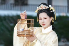 【明苑金辉】---婉灵