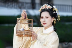 【明苑金辉】---婉灵