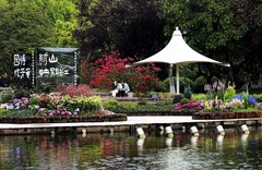 绣山公园杜鹃花展(6)