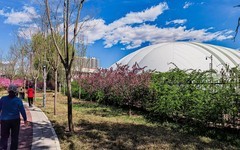 手机游拍20260406《35》