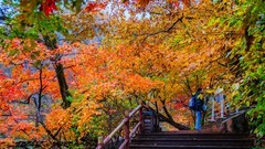本 溪 关 门 山 秋 色
