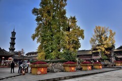 初冬的街子古镇【续完】