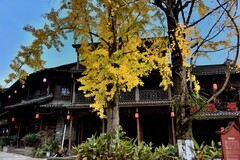 初冬的街子古镇【续完】