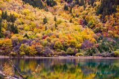 外出随拍（794）.