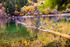 外出随拍（794）.