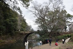 2026春节皖浙赣（73）祭酒桥“老农牵牛过桥”