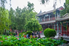 2026荷花图—(14)--盛夏闹荷塘