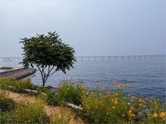 2026年- 大连星海湾风光纪实-0496