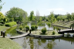 碧湖园景（中）