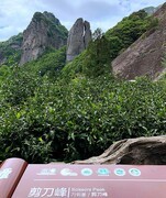 1799【不老松：纪实摄影】〖山河锦绣、詩画江南〗云雨雁荡山：剪刀峰景！