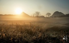 寒来霜至，冬日已深。霜晨的世界，静谧又美好。希望这个寒冬，你我都能被温暖环绕，捂暖一整个冬天。