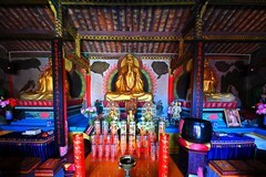 冬末的翠峰山（叁）