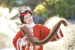 【琏府凤影】---莉莉