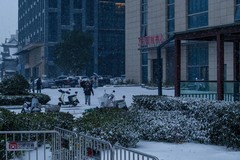 庐州印象（560）雪中行