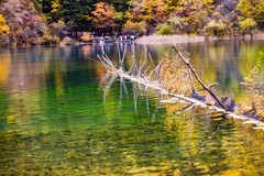 外出随拍（798）.