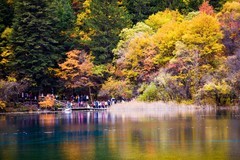 外出随拍（798）.