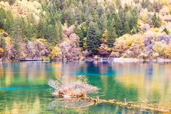 外出随拍（798）.